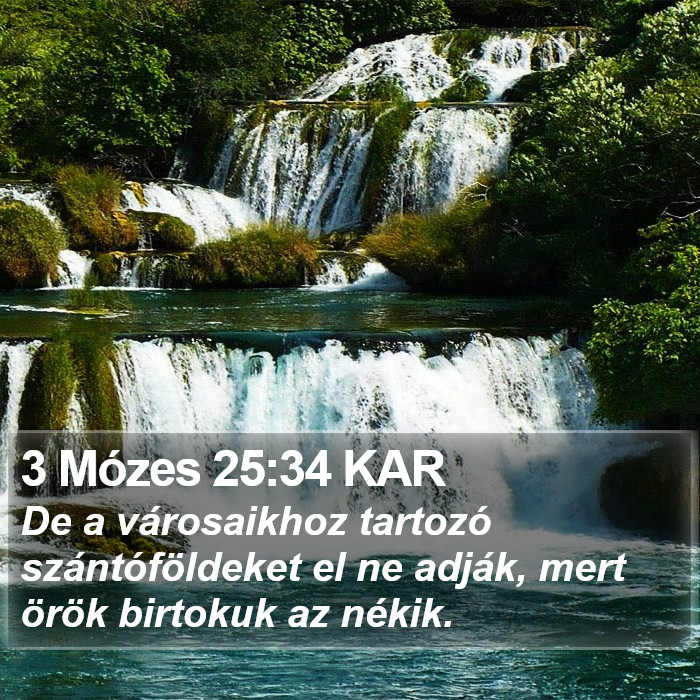 3 Mózes 25:34 KAR Bible Study