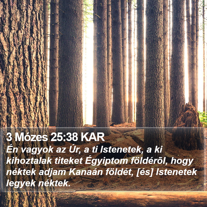 3 Mózes 25:38 KAR Bible Study