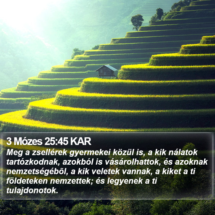 3 Mózes 25:45 KAR Bible Study