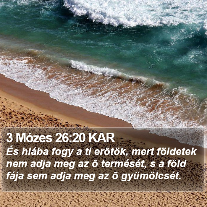 3 Mózes 26:20 KAR Bible Study