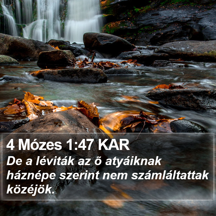 4 Mózes 1:47 KAR Bible Study