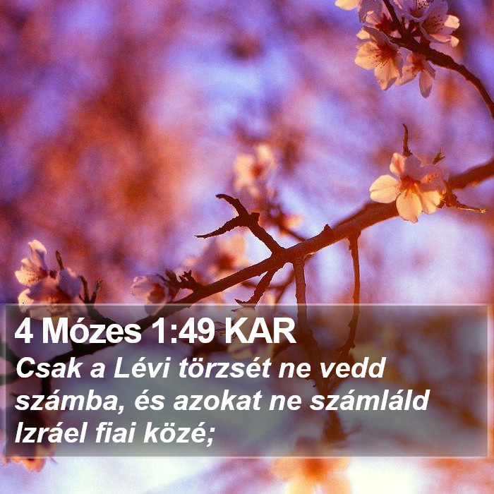 4 Mózes 1:49 KAR Bible Study