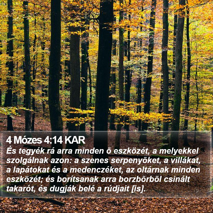 4 Mózes 4:14 KAR Bible Study