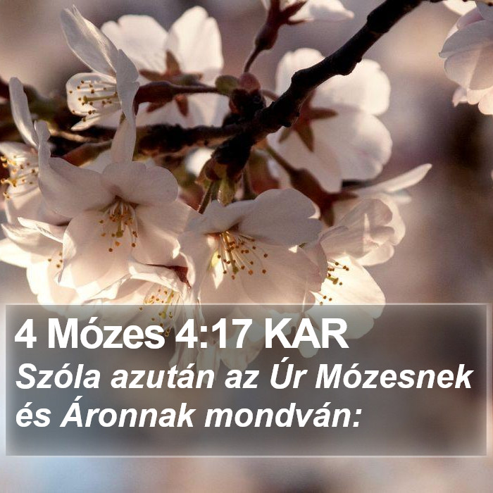 4 Mózes 4:17 KAR Bible Study