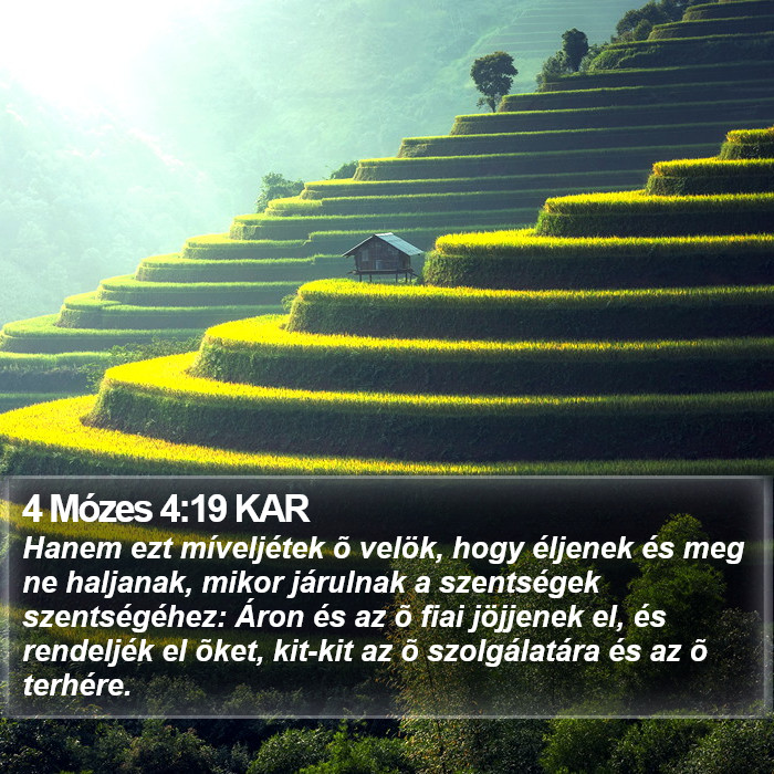 4 Mózes 4:19 KAR Bible Study