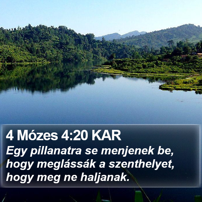 4 Mózes 4:20 KAR Bible Study