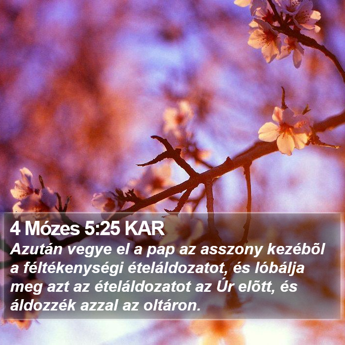 4 Mózes 5:25 KAR Bible Study