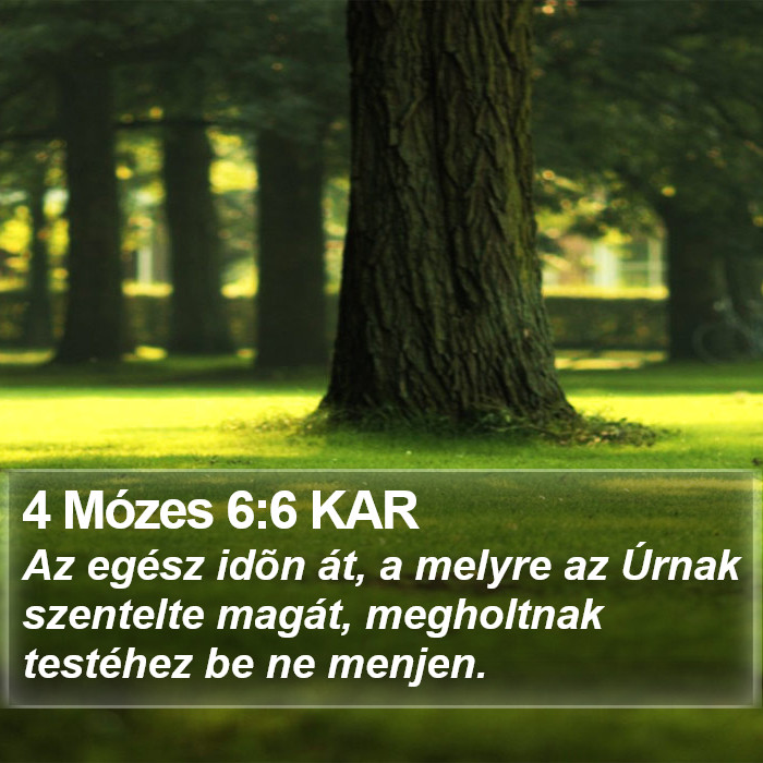 4 Mózes 6:6 KAR Bible Study