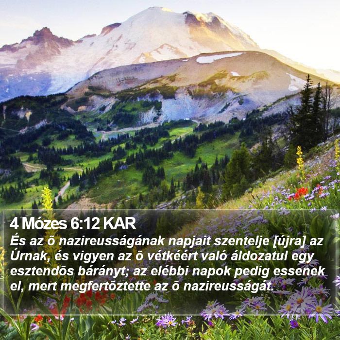 4 Mózes 6:12 KAR Bible Study