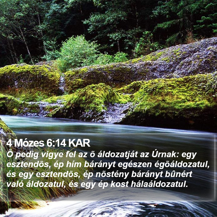 4 Mózes 6:14 KAR Bible Study