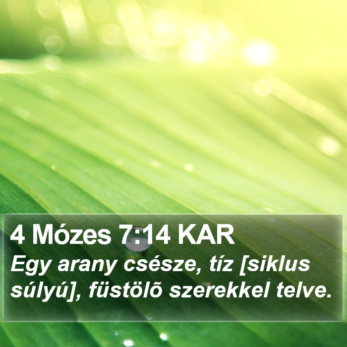 4 Mózes 7:14 KAR Bible Study