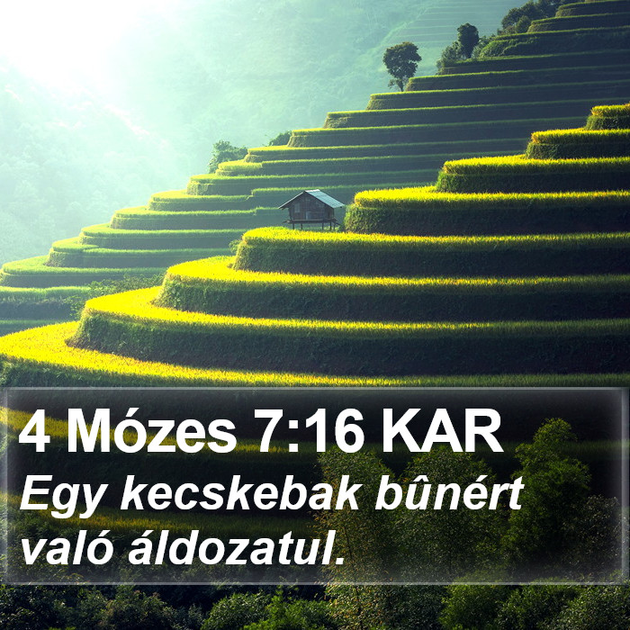 4 Mózes 7:16 KAR Bible Study