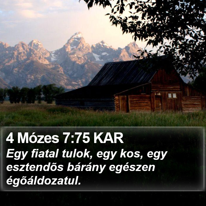 4 Mózes 7:75 KAR Bible Study