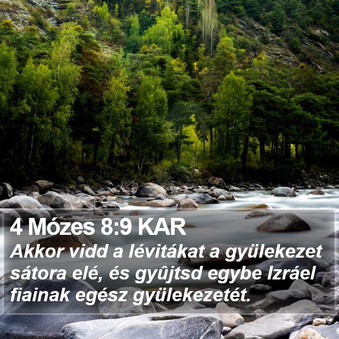 4 Mózes 8:9 KAR Bible Study