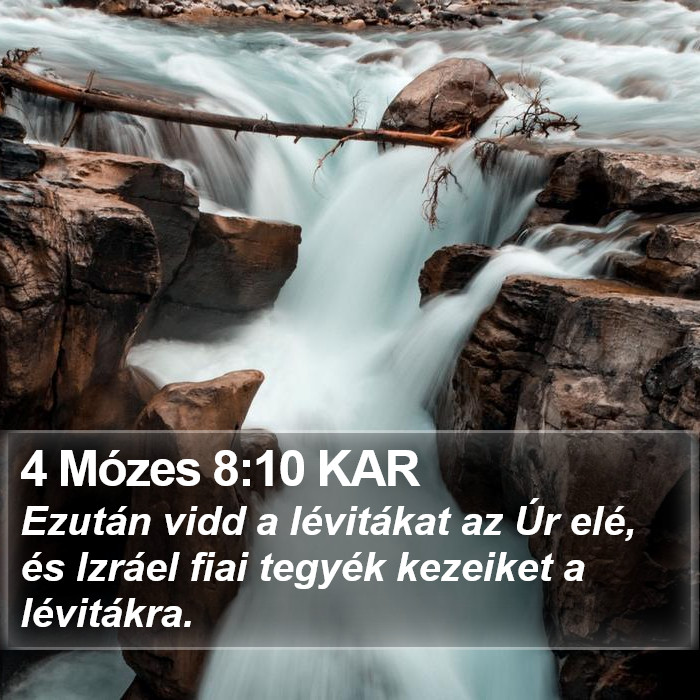 4 Mózes 8:10 KAR Bible Study