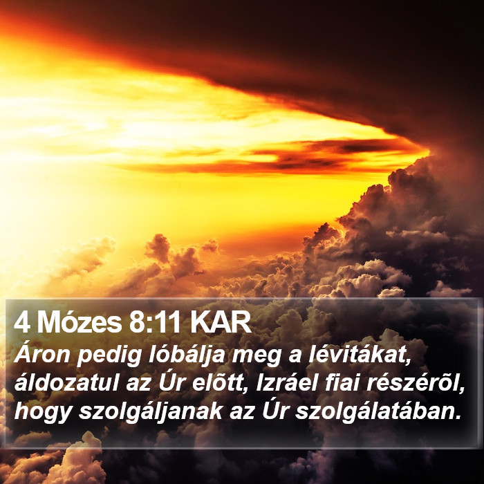 4 Mózes 8:11 KAR Bible Study