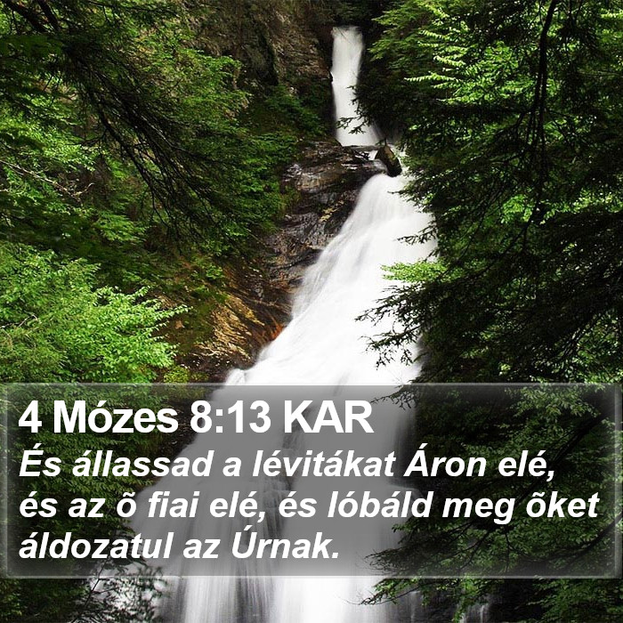 4 Mózes 8:13 KAR Bible Study