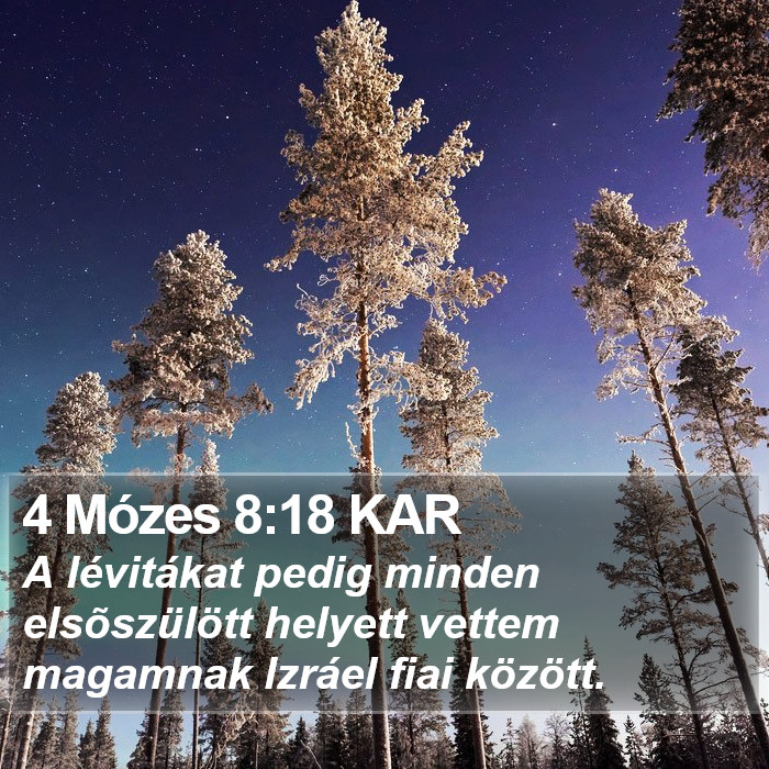 4 Mózes 8:18 KAR Bible Study