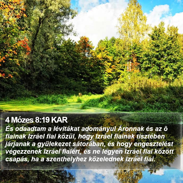 4 Mózes 8:19 KAR Bible Study