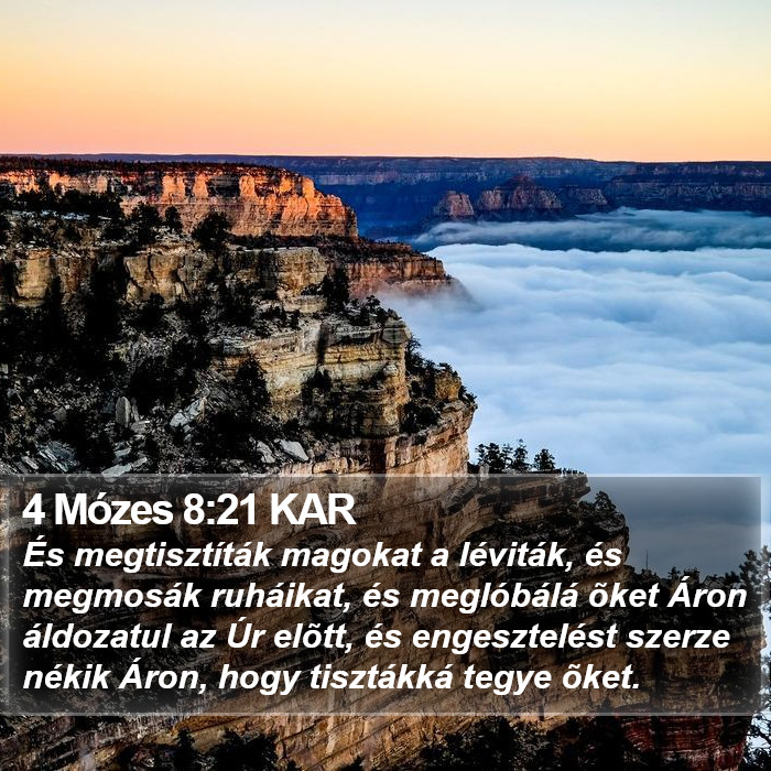 4 Mózes 8:21 KAR Bible Study