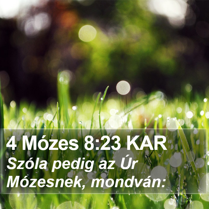 4 Mózes 8:23 KAR Bible Study