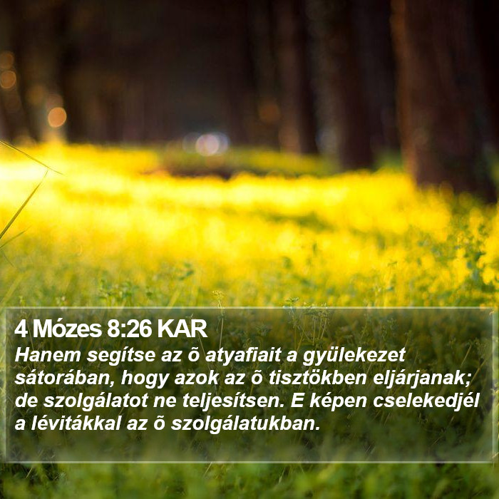 4 Mózes 8:26 KAR Bible Study