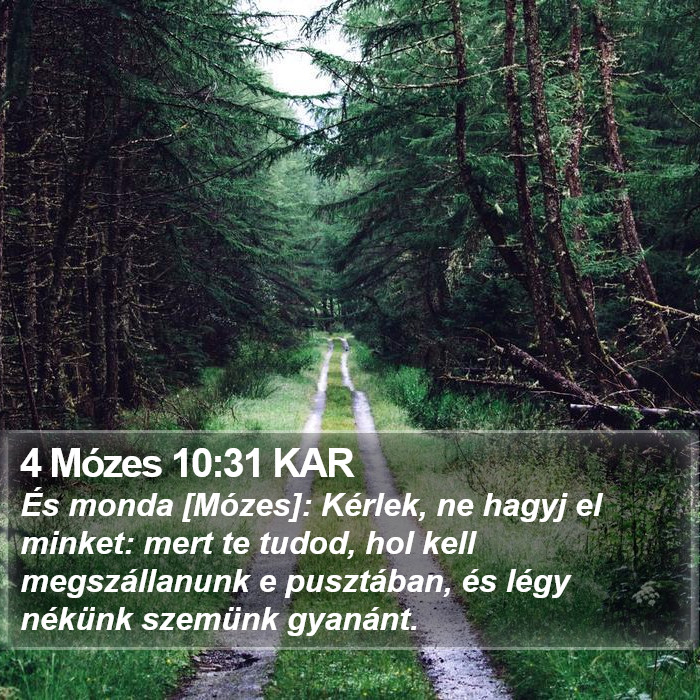 4 Mózes 10:31 KAR Bible Study