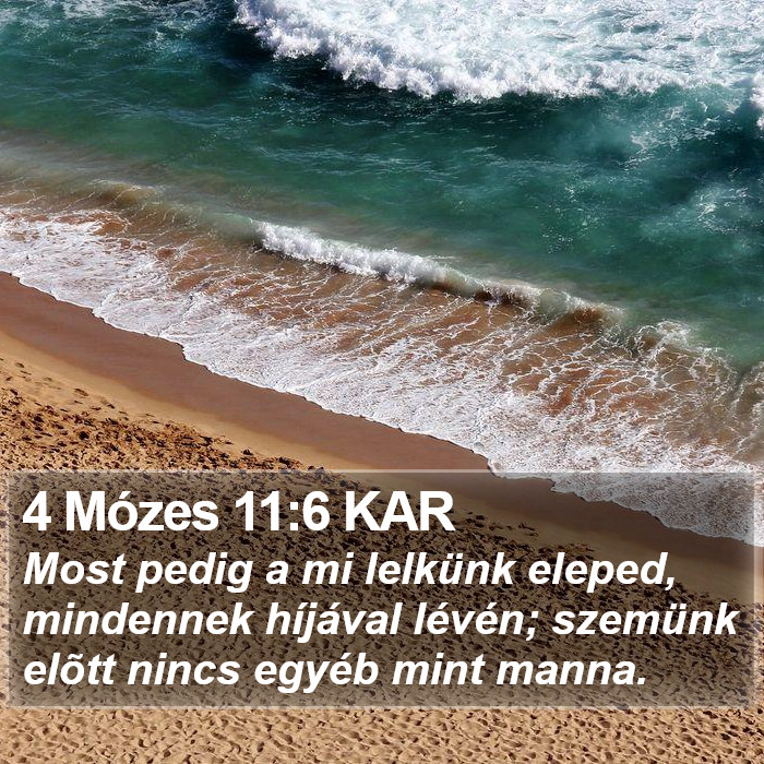 4 Mózes 11:6 KAR Bible Study