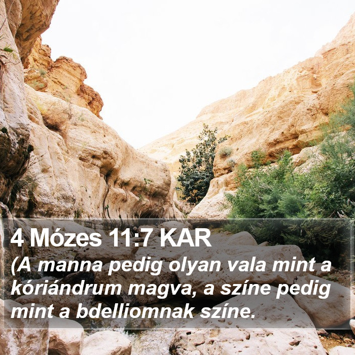 4 Mózes 11:7 KAR Bible Study