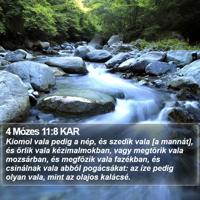 4 Mózes 11:8 KAR Bible Study