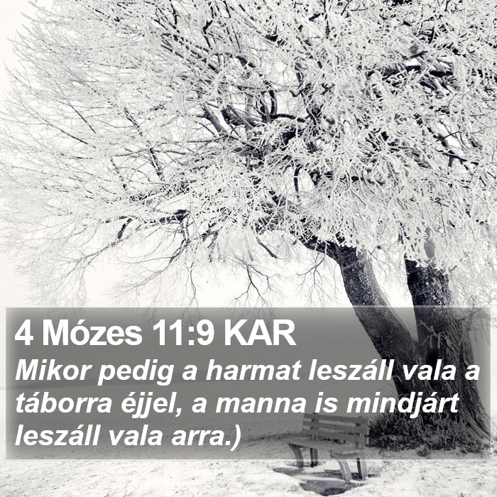 4 Mózes 11:9 KAR Bible Study