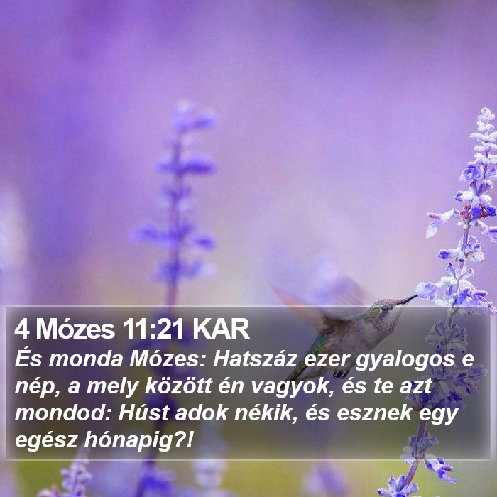 4 Mózes 11:21 KAR Bible Study