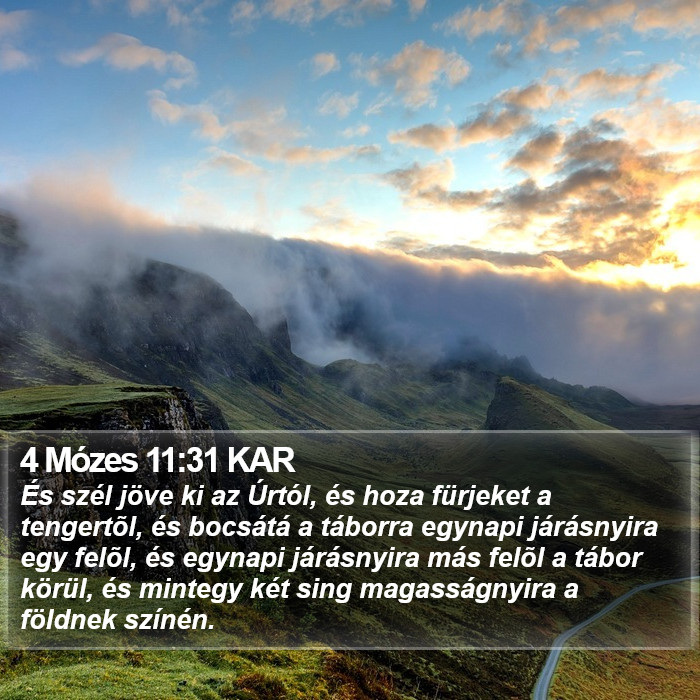 4 Mózes 11:31 KAR Bible Study