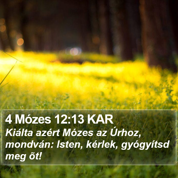 4 Mózes 12:13 KAR Bible Study