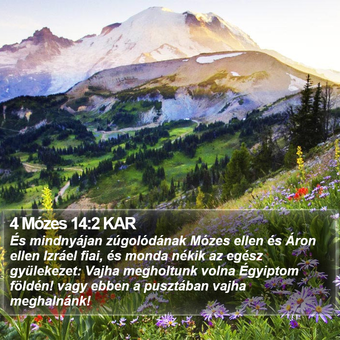 4 Mózes 14:2 KAR Bible Study