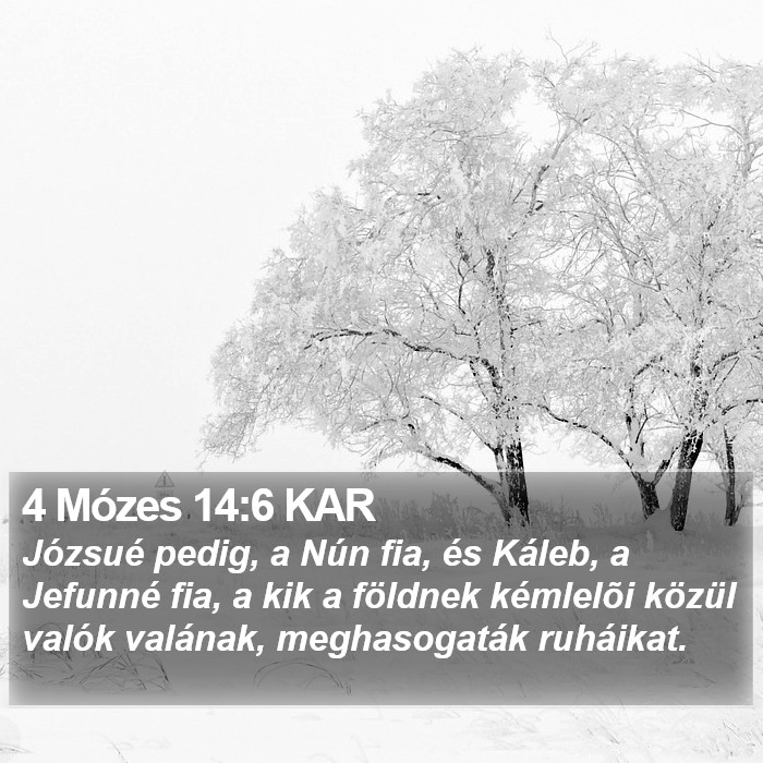 4 Mózes 14:6 KAR Bible Study