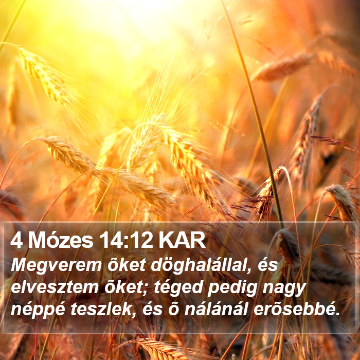 4 Mózes 14:12 KAR Bible Study