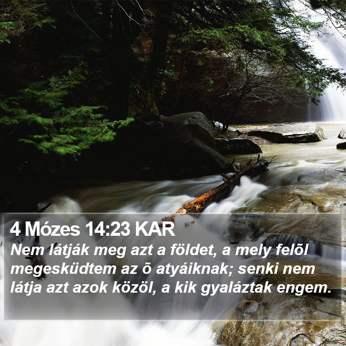 4 Mózes 14:23 KAR Bible Study