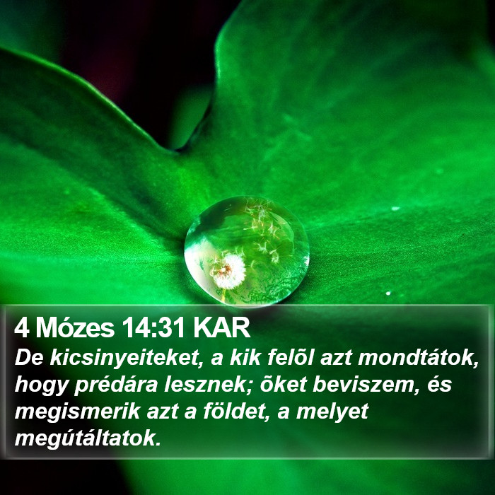 4 Mózes 14:31 KAR Bible Study