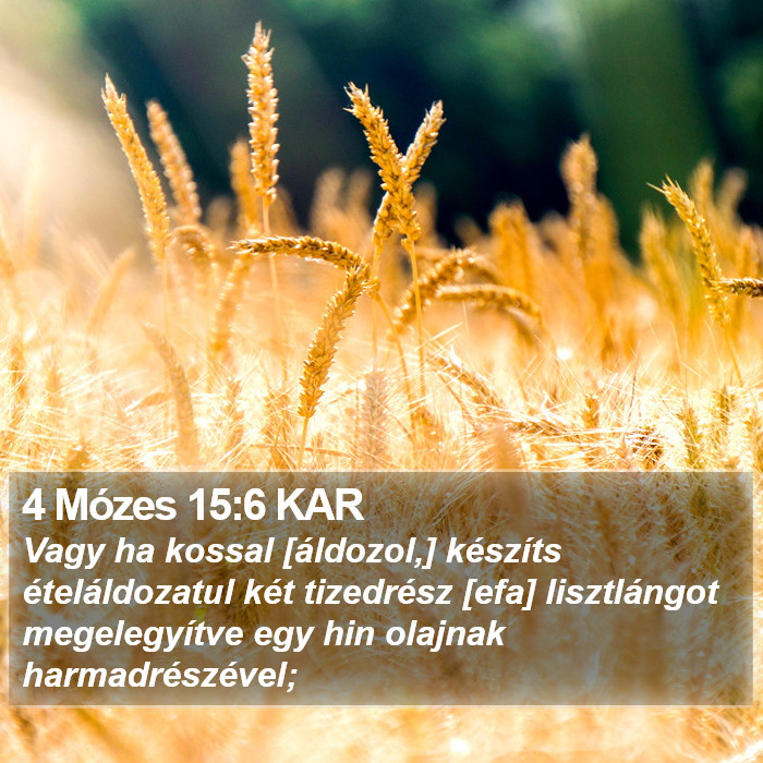 4 Mózes 15:6 KAR Bible Study