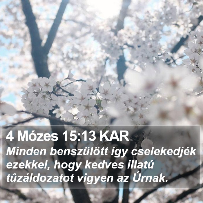 4 Mózes 15:13 KAR Bible Study