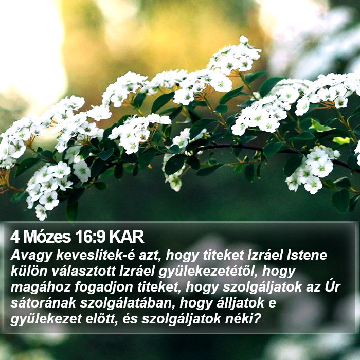 4 Mózes 16:9 KAR Bible Study