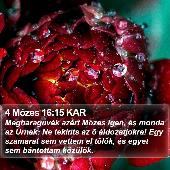 4 Mózes 16:15 KAR Bible Study