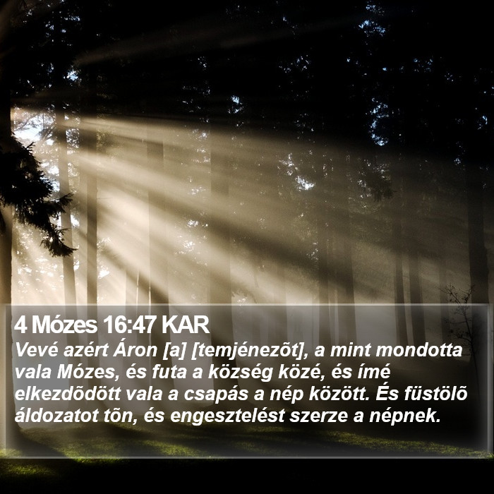 4 Mózes 16:47 KAR Bible Study