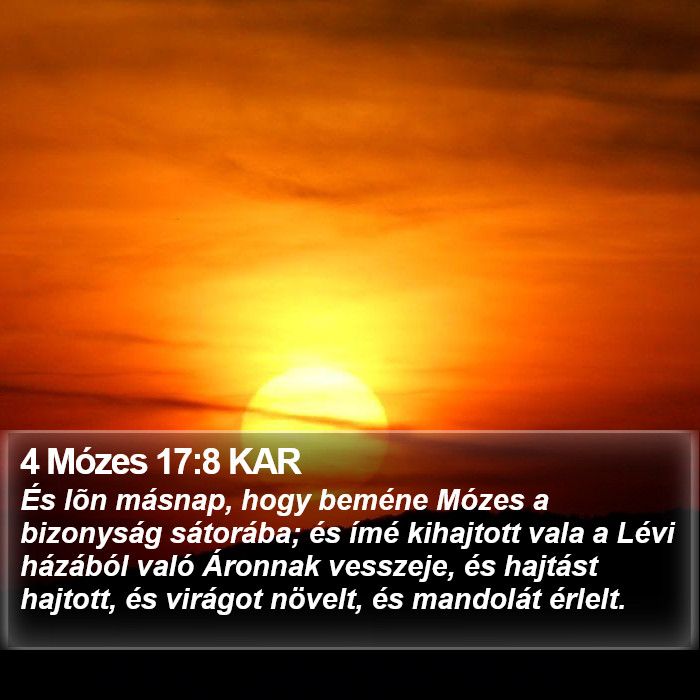 4 Mózes 17:8 KAR Bible Study