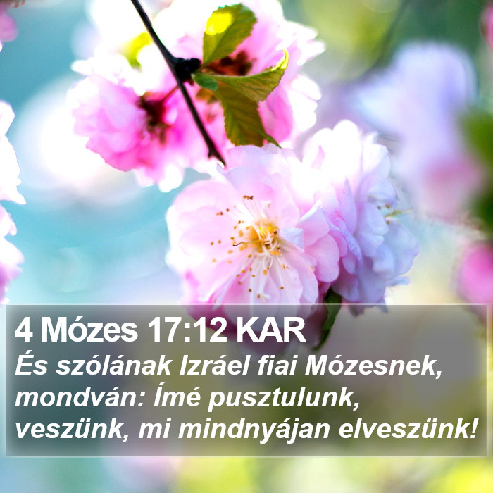 4 Mózes 17:12 KAR Bible Study