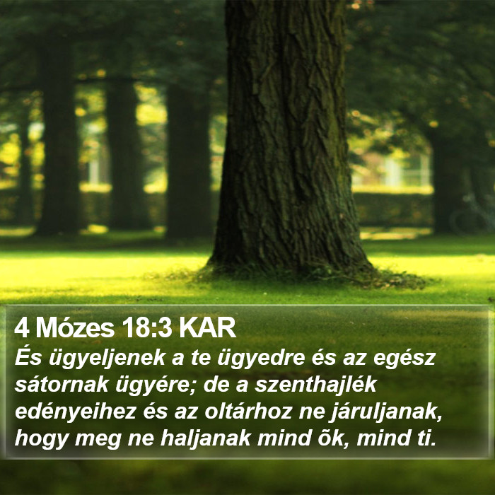 4 Mózes 18:3 KAR Bible Study