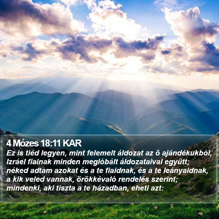 4 Mózes 18:11 KAR Bible Study