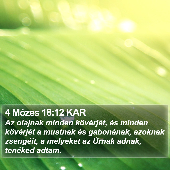 4 Mózes 18:12 KAR Bible Study