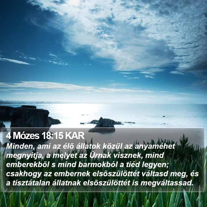 4 Mózes 18:15 KAR Bible Study